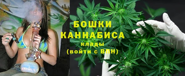 гашик Кулебаки