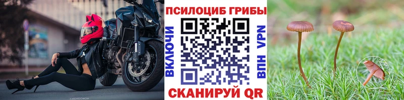 мега зеркало Невельск Псилоцибиновые грибы GOLDEN TEACHER